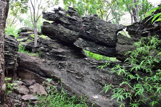 พุหางนาค ท่องเที่ยวเชิงอนุรักษ์  ปริศนาเมืองลับแล  อำเภออู่ทอง จังหวัดสุพรรณบุรี