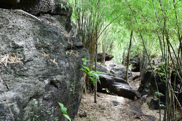 พุหางนาค ท่องเที่ยวเชิงอนุรักษ์  ปริศนาเมืองลับแล  อำเภออู่ทอง จังหวัดสุพรรณบุรี