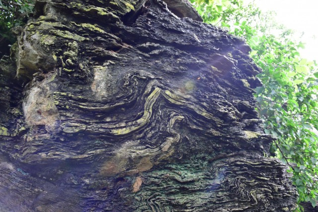 พุหางนาค ท่องเที่ยวเชิงอนุรักษ์  ปริศนาเมืองลับแล  อำเภออู่ทอง จังหวัดสุพรรณบุรี