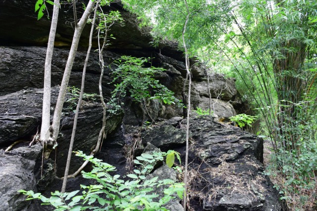 พุหางนาค ท่องเที่ยวเชิงอนุรักษ์  ปริศนาเมืองลับแล  อำเภออู่ทอง จังหวัดสุพรรณบุรี