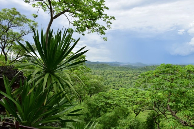 พุหางนาค ท่องเที่ยวเชิงอนุรักษ์  ปริศนาเมืองลับแล  อำเภออู่ทอง จังหวัดสุพรรณบุรี