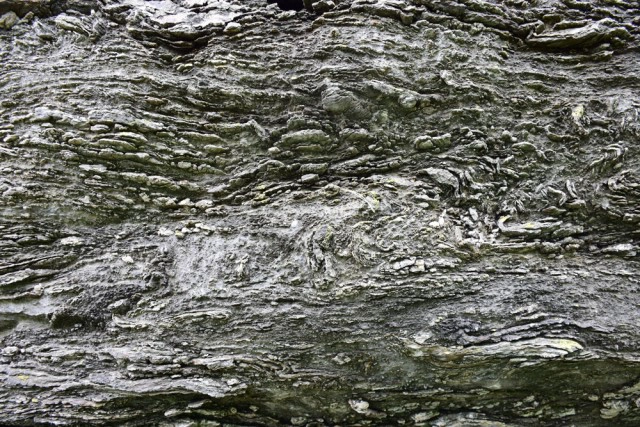 พุหางนาค ท่องเที่ยวเชิงอนุรักษ์  ปริศนาเมืองลับแล  อำเภออู่ทอง จังหวัดสุพรรณบุรี