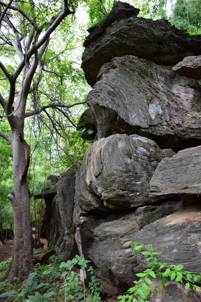 พุหางนาค ท่องเที่ยวเชิงอนุรักษ์  ปริศนาเมืองลับแล  อำเภออู่ทอง จังหวัดสุพรรณบุรี