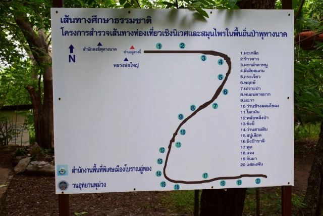 พุหางนาค ท่องเที่ยวเชิงอนุรักษ์  ปริศนาเมืองลับแล  อำเภออู่ทอง จังหวัดสุพรรณบุรี