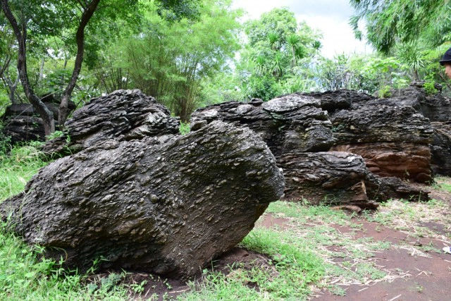 พุหางนาค ท่องเที่ยวเชิงอนุรักษ์  ปริศนาเมืองลับแล  อำเภออู่ทอง จังหวัดสุพรรณบุรี