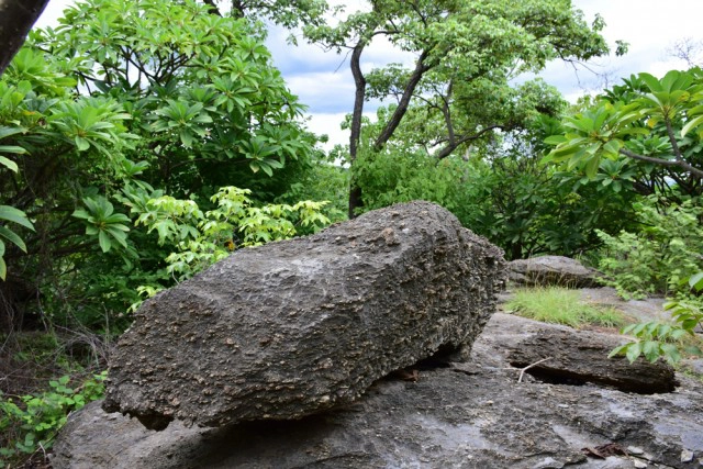 พุหางนาค ท่องเที่ยวเชิงอนุรักษ์  ปริศนาเมืองลับแล  อำเภออู่ทอง จังหวัดสุพรรณบุรี