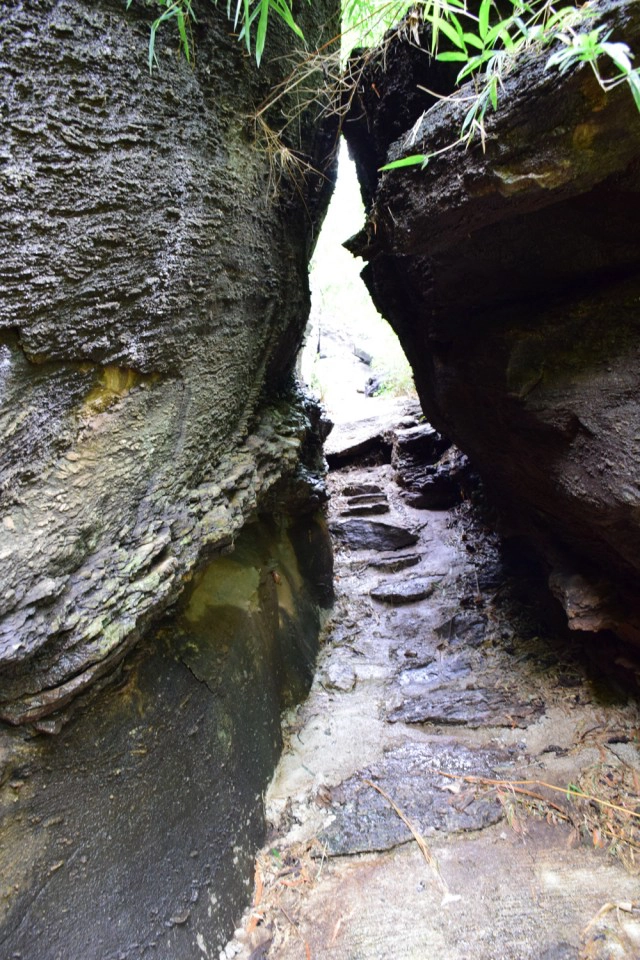 พุหางนาค ท่องเที่ยวเชิงอนุรักษ์  ปริศนาเมืองลับแล  อำเภออู่ทอง จังหวัดสุพรรณบุรี