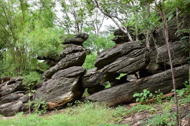พุหางนาค ท่องเที่ยวเชิงอนุรักษ์  ปริศนาเมืองลับแล  อำเภออู่ทอง จังหวัดสุพรรณบุรี
