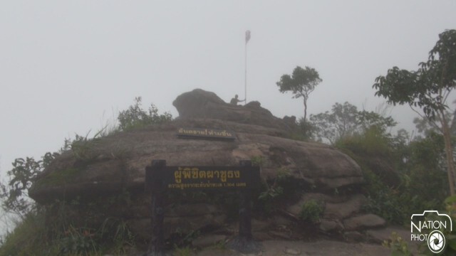 ฝ่าละอองฝน ยลดอกไม้งามที่ "ภูหินร่องกล้า"