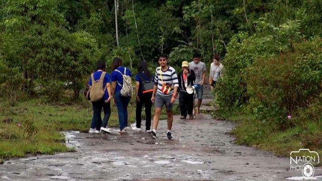 ฝ่าละอองฝน ยลดอกไม้งามที่ "ภูหินร่องกล้า"