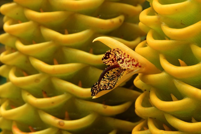 Lifestyle 2  Lifester :  พัฒนาการ กล้อง คน และไอที