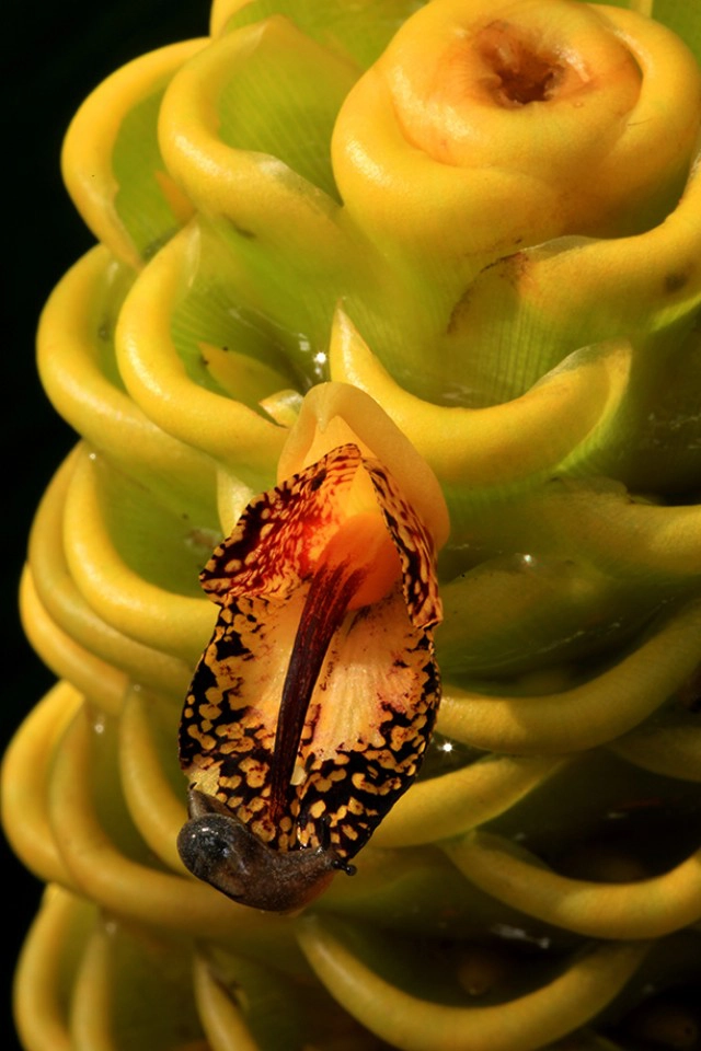 Lifestyle 2  Lifester :  พัฒนาการ กล้อง คน และไอที