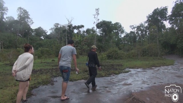 ฝ่าละอองฝน ยลดอกไม้งามที่ "ภูหินร่องกล้า"