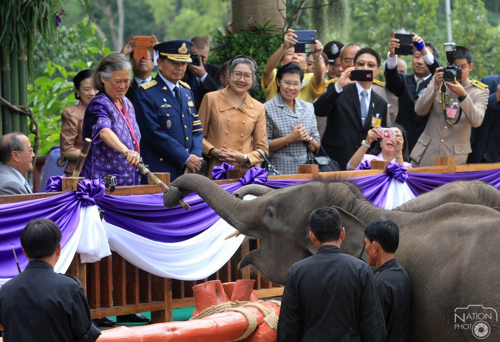 พระเทพฯทรงปล่อยสัตว์ป่าคืนธรรมชาติ พระเทพฯทรงปล่อยสัตว์ป่าคืนธรรมชาติ