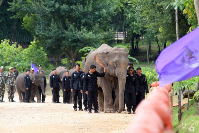 พระเทพฯทรงปล่อยสัตว์ป่าคืนธรรมชาติ