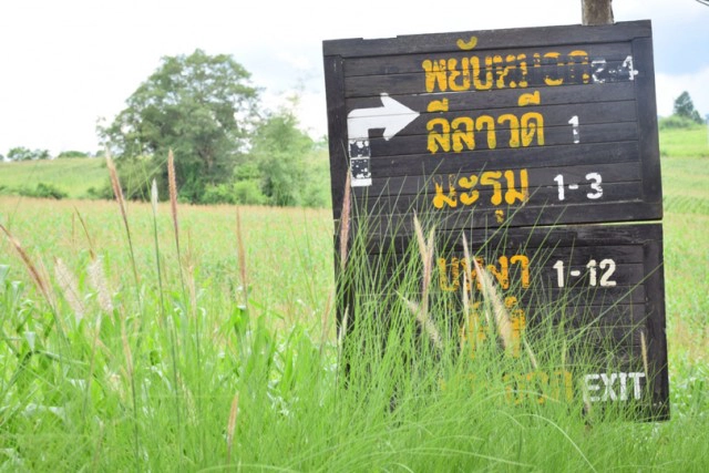 Chic-in : บุหงาส่าหรี ปลายฝนต้นหนาว ณ วังน้ำเขียว