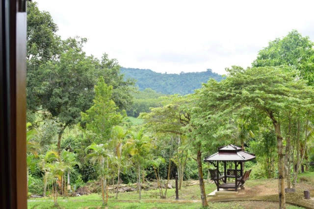 Chic-in : บุหงาส่าหรี ปลายฝนต้นหนาว ณ วังน้ำเขียว