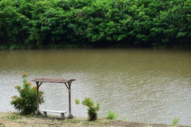 Chic-in : บุหงาส่าหรี ปลายฝนต้นหนาว ณ วังน้ำเขียว