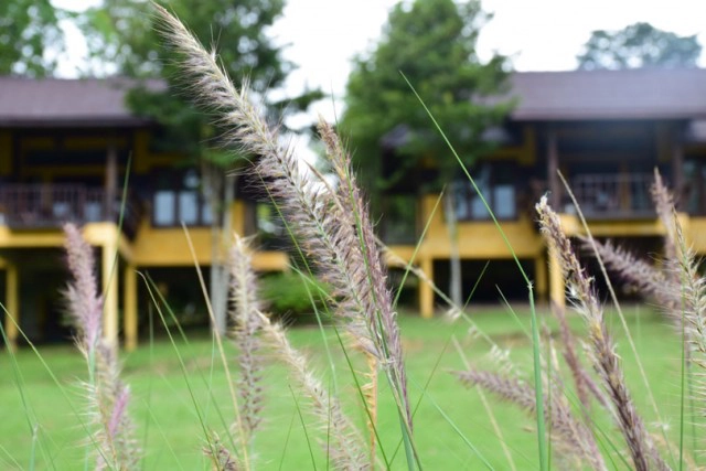 Chic-in : บุหงาส่าหรี ปลายฝนต้นหนาว ณ วังน้ำเขียว