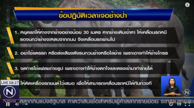 "มูลนิธิเขาใหญ่" แนะใช้กฎหมายคุมนักท่องเที่ยวกวนสัตว์ป่า