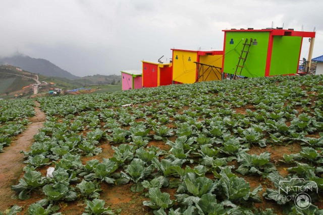 อธิบดีกรมป่าไม้ตั้งหน่วยพิทักษ์สกัดรีสอร์ทใหม่ “ภูทับเบิก”