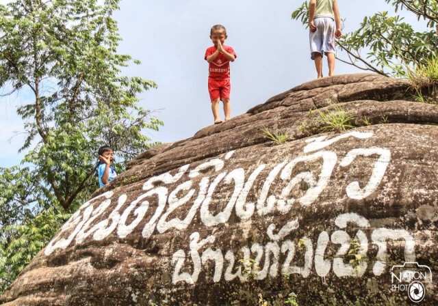 ชาวภูทับเบิกปรับแผน เปิดให้เข้าถ่ายภาพในสวนกะหล่ำคนละ 20 บาทเสริมรายได้
