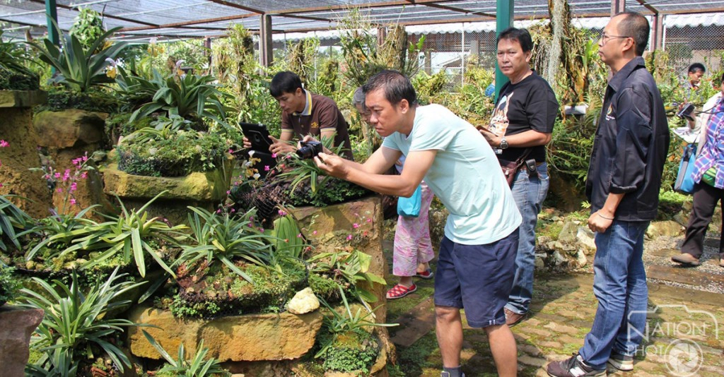 เที่ยวชมธรรมชาติ ดอกไม้งาม ที่สวนพฤกษศาสตร์บ้านร่มเกล้า