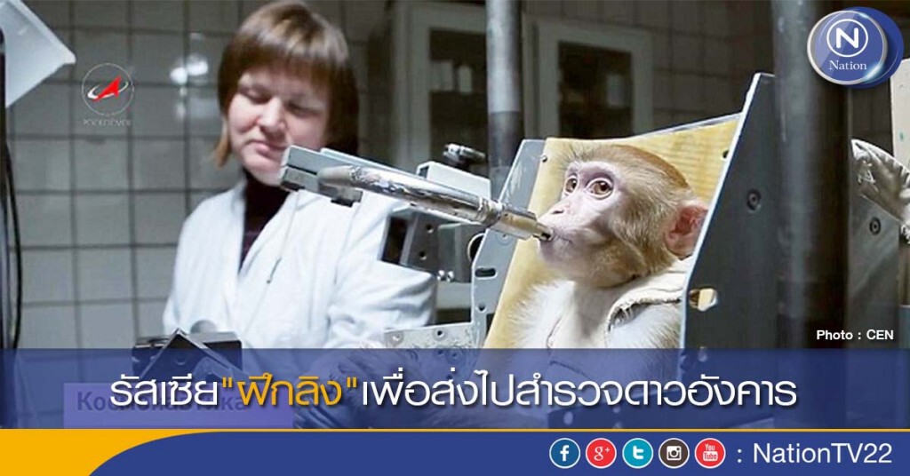 รัสเซีย"ฝึกลิง"เพื่อส่งไปสำรวจดาวอังคาร รัสเซีย"ฝึกลิง"เพื่อส่งไปสำรวจดาวอังคาร