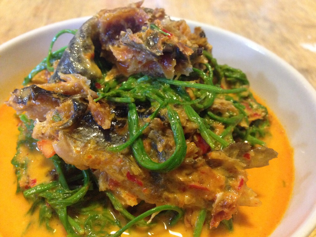 Cooking is Fun : แกงเผ็ดปลาย่างใบชะอม