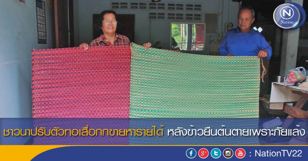 ชาวนาปรับตัวทอเสื่อกกขายหารายได้ หลังข้าวยืนต้นตายเพราะภัยแล้ง ชาวนาปรับตัวทอเสื่อกกขายหารายได้ หลังข้าวยืนต้นตายเพราะภัยแล้ง