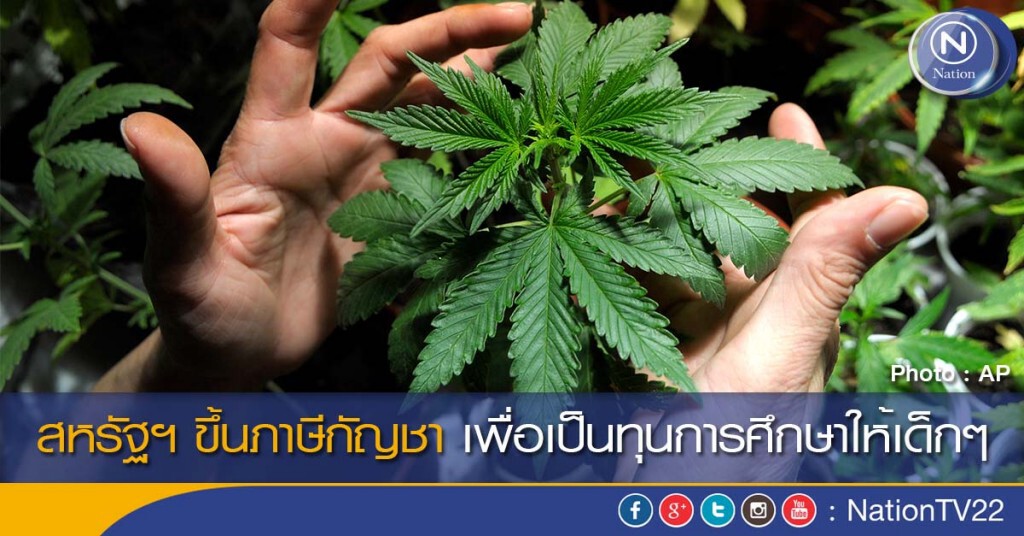 สหรัฐฯ ขึ้นภาษีกัญชา เพื่อเป็นทุนการศึกษาให้เด็กๆ สหรัฐฯ ขึ้นภาษีกัญชา เพื่อเป็นทุนการศึกษาให้เด็กๆ