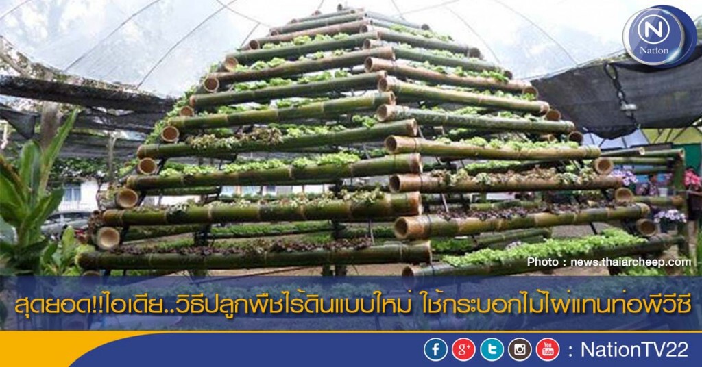 สุดยอด!!ไอเดีย..วิธีปลูกพืชไร้ดินแบบใหม่ ใช้กระบอกไม้ไผ่แทนท่อพีวีซี