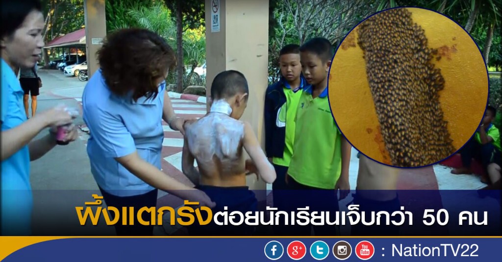 ผึ้งแตกรัง!! ต่อยนักเรียนเจ็บกว่า 50 คน ผึ้งแตกรัง!! ต่อยนักเรียนเจ็บกว่า 50 คน