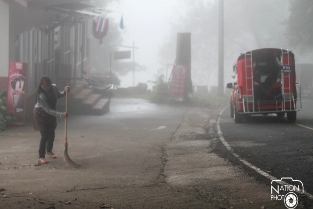 นักท่องเที่ยว แห่ชม "ดอกไม้งามฤดูหนาว" ที่พระตำหนักภูพิงค์ราชนิเวศน์
