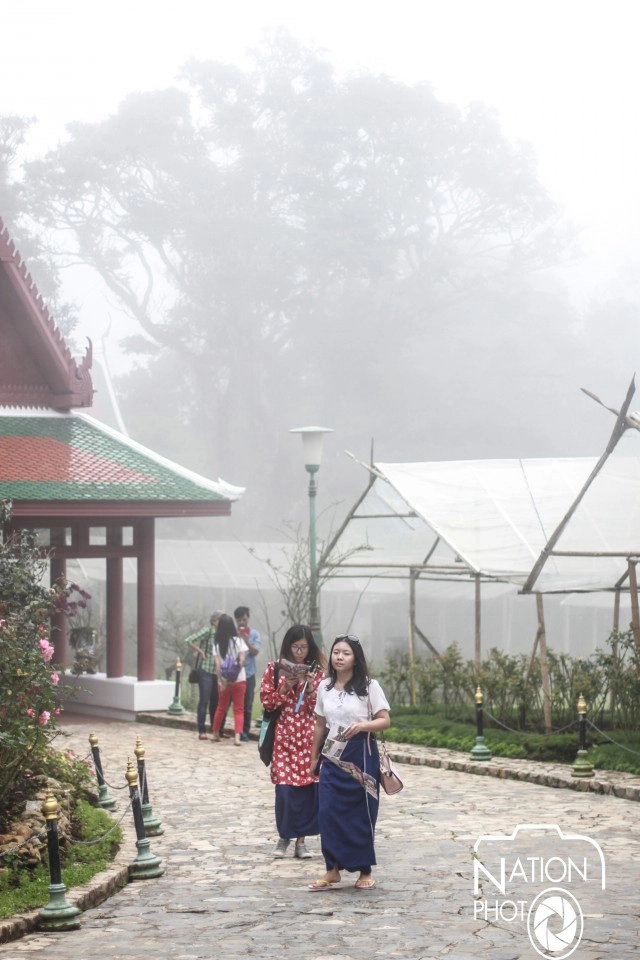 นักท่องเที่ยว แห่ชม "ดอกไม้งามฤดูหนาว" ที่พระตำหนักภูพิงค์ราชนิเวศน์