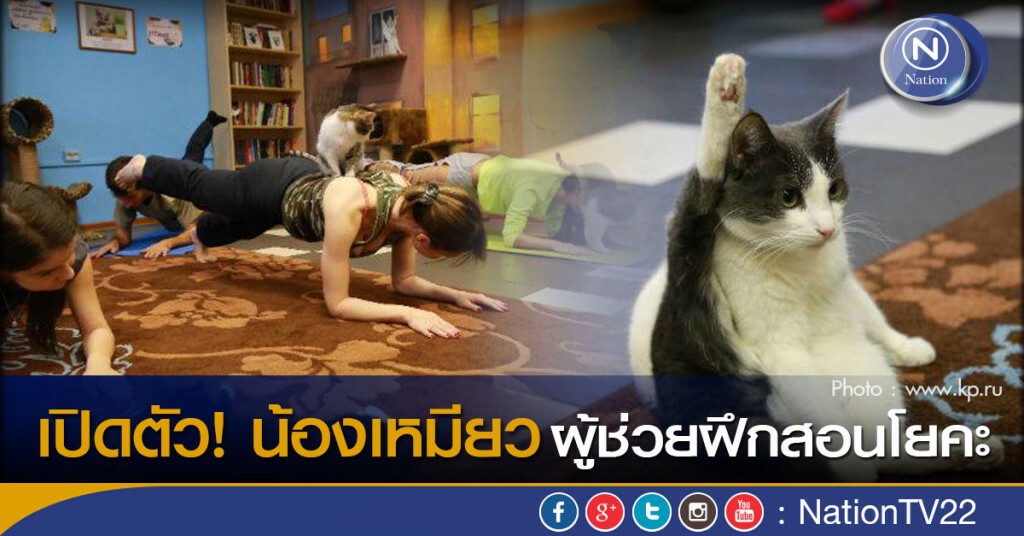 เปิดตัว! น้องเหมียวผู้ช่วยฝึกสอนโยคะ เปิดตัว! น้องเหมียวผู้ช่วยฝึกสอนโยคะ