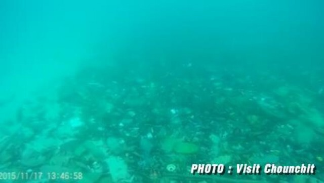 โซเชียลฯแชร์ว่อนขยะใต้น้ำหาดกะรน เล็งระดมนักดำน้ำเก็บขยะ 3 ธ.ค.นี้