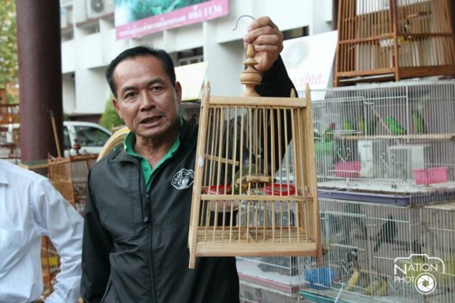 ตรวจยึดนกป่ากว่า 300 ตัวในตลาดนัดจตุจักร