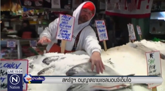 อย.สหรัฐไฟเขียวขาย"ปลาแซลมอนจีเอ็มโอ"
