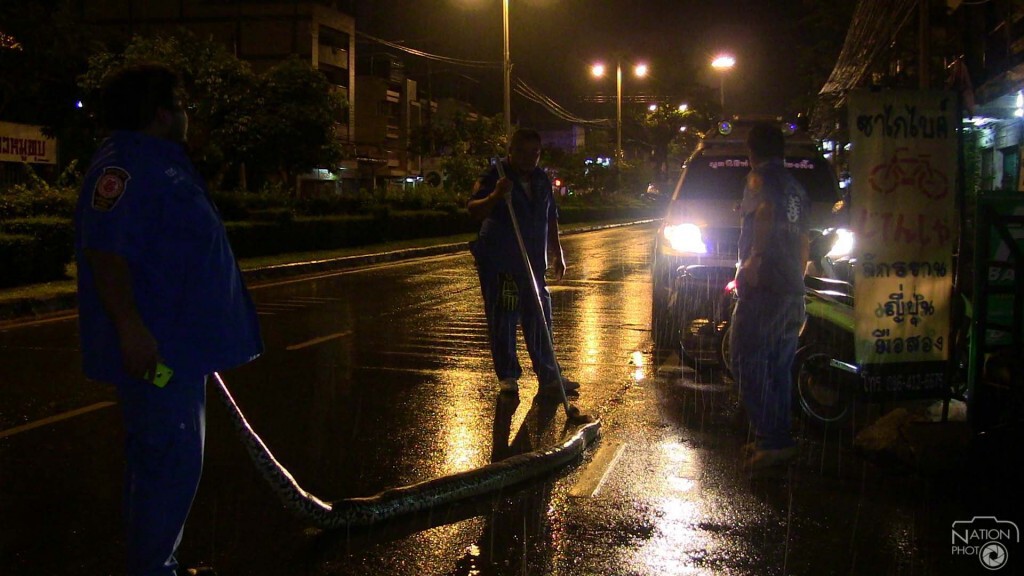 ฝนชุก งูเหลือมบุกบ้าน ชาวบ้านผวาแจ้งกู้ภัยช่วยจับ