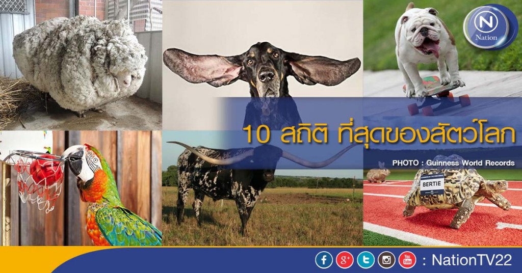 10 สถิติ ที่สุดของสัตว์โลก