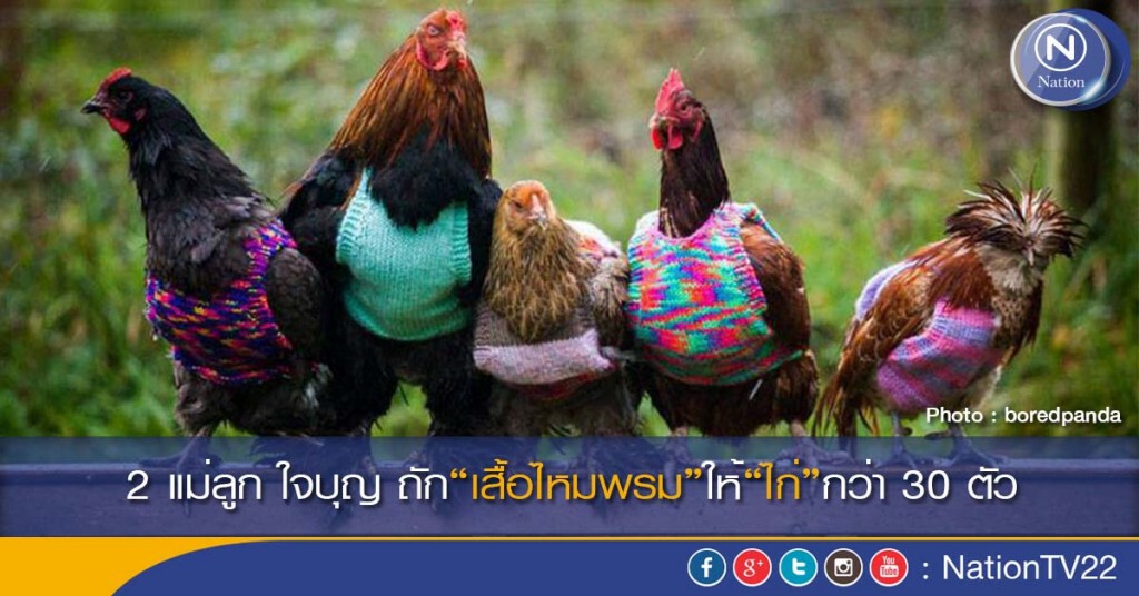 2 แม่ลูก ใจบุญถัก“เสื้อไหมพรม”ให้“ไก่”กว่า 30 ตัว 2 แม่ลูก ใจบุญถัก“เสื้อไหมพรม”ให้“ไก่”กว่า 30 ตัว