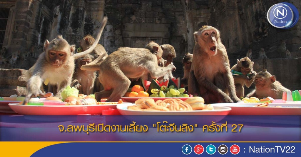 จ.ลพบุรีเปิดงานเลี้ยง"โต๊ะจีนลิง" ครั้งที่ 27 จ.ลพบุรีเปิดงานเลี้ยง"โต๊ะจีนลิง" ครั้งที่ 27