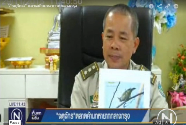 "จตุจักร" ตลาดค้านกหายากกลางกรุง