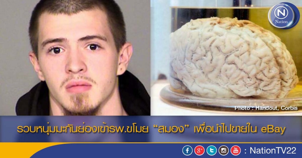 รวบหนุ่มมะกันย่องเข้ารพ.ขโมย “สมอง” เพื่อนำไปขายใน eBay รวบหนุ่มมะกันย่องเข้ารพ.ขโมย “สมอง” เพื่อนำไปขายใน eBay