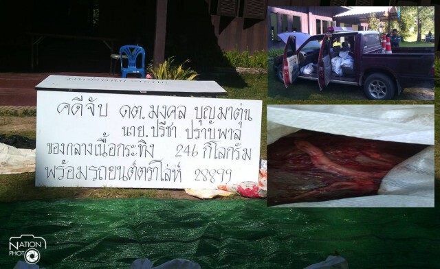 รวบดาบตำรวจลักลอบขนย้ายซากกระทิงป่า น้ำหนัก 246 กิโลกรัม