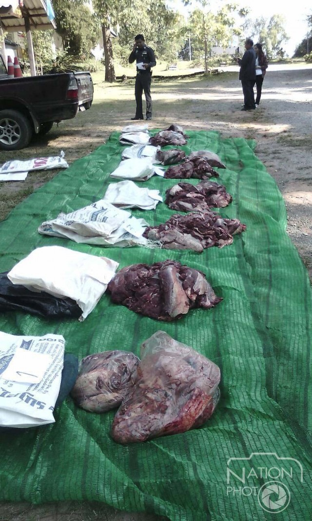 สั่งออกจากราชการ"ดาบตำรวจ"ยิงกระทิงป่าภูเขียว