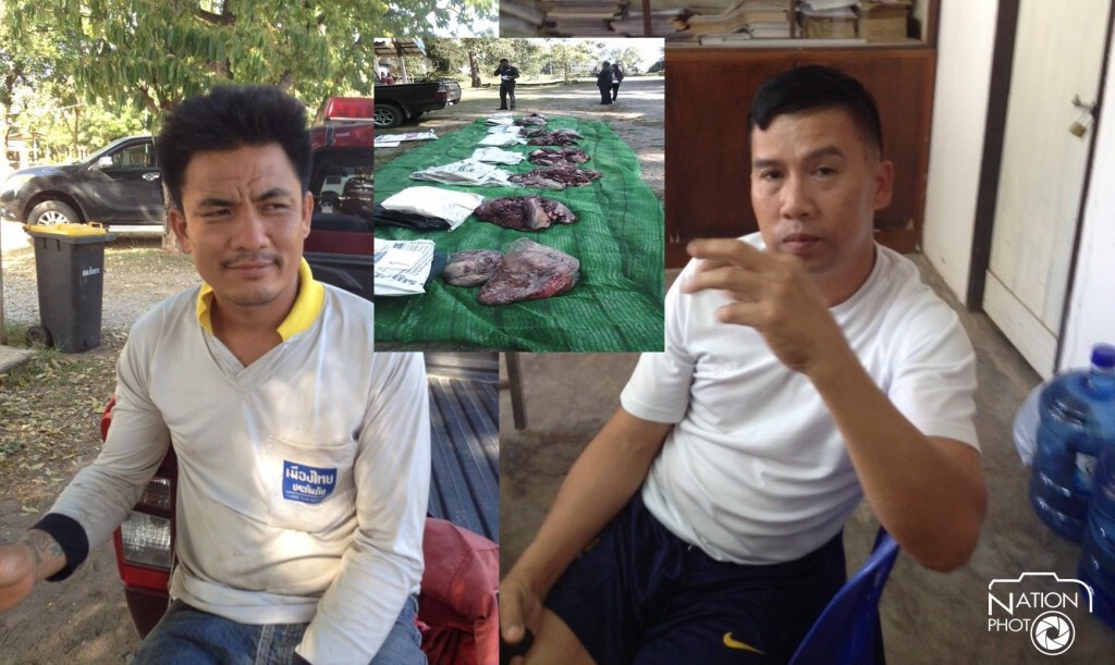 กรมอุทยานฯสั่งขยายผลล่าเครือข่าย"ฆ่ากระทิงภูเขียว" กรมอุทยานฯสั่งขยายผลล่าเครือข่าย"ฆ่ากระทิงภูเขียว"