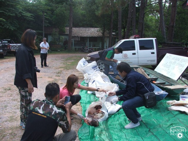 กรมอุทยานฯสั่งขยายผลล่าเครือข่าย"ฆ่ากระทิงภูเขียว"