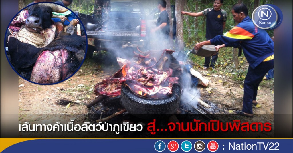 เส้นทางค้าเนื้อสัตว์ป่าภูเขียว สู่...จานนักเปิบพิสดาร เส้นทางค้าเนื้อสัตว์ป่าภูเขียว สู่...จานนักเปิบพิสดาร